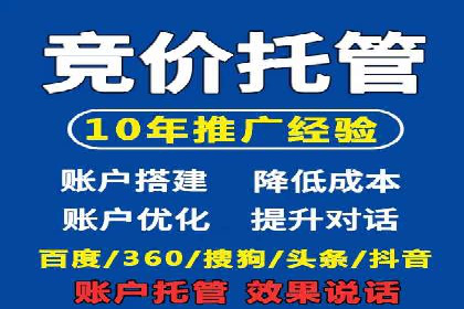 某某sem广告公司成功案例：如何通过SEM优化提高电商销售额
